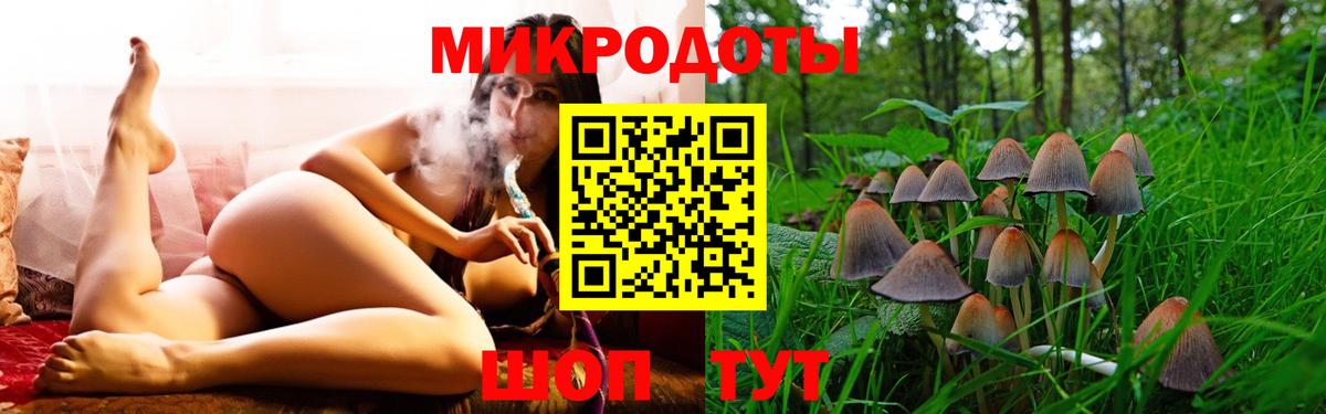 Псилоцибиновые грибы мухоморы  Вход с VPN  Гатчина  Галлюциногенные грибы мухоморы 